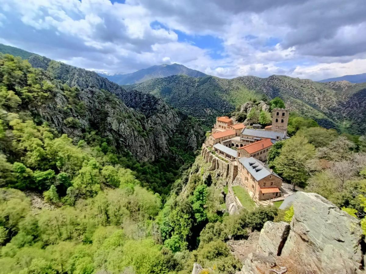 Le Mas Palegry Chambres D'Hotes Perpignan Dış mekan fotoğraf