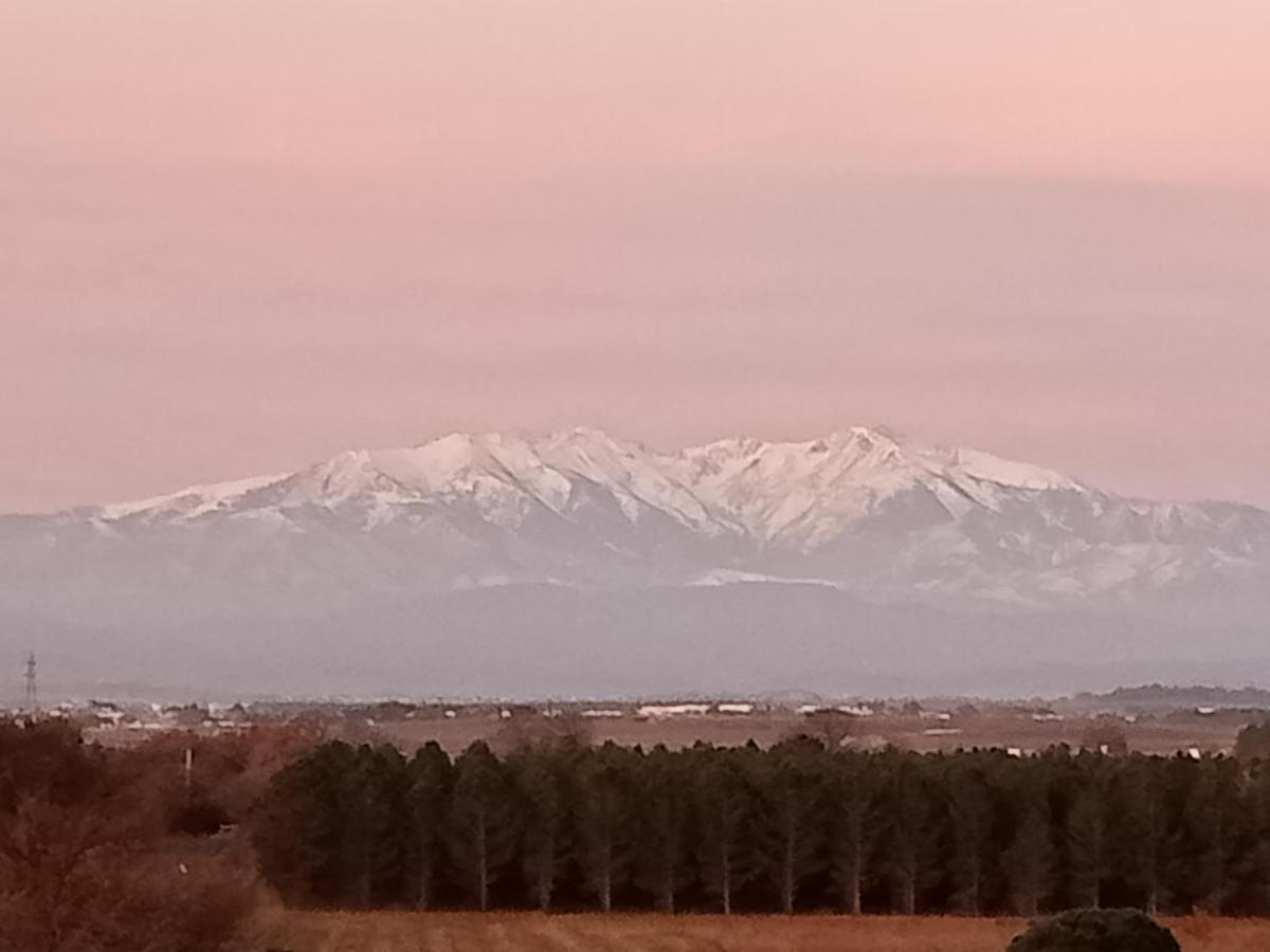Le Mas Palegry Chambres D'Hotes Perpignan Dış mekan fotoğraf