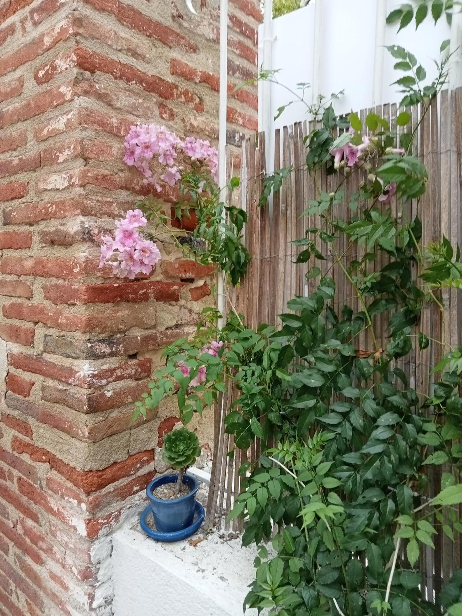 Le Mas Palegry Chambres D'Hotes Perpignan Dış mekan fotoğraf