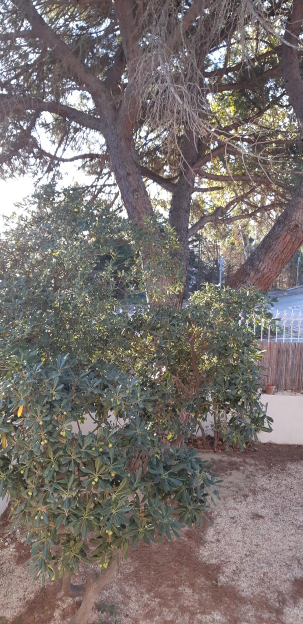 Le Mas Palegry Chambres D'Hotes Perpignan Dış mekan fotoğraf